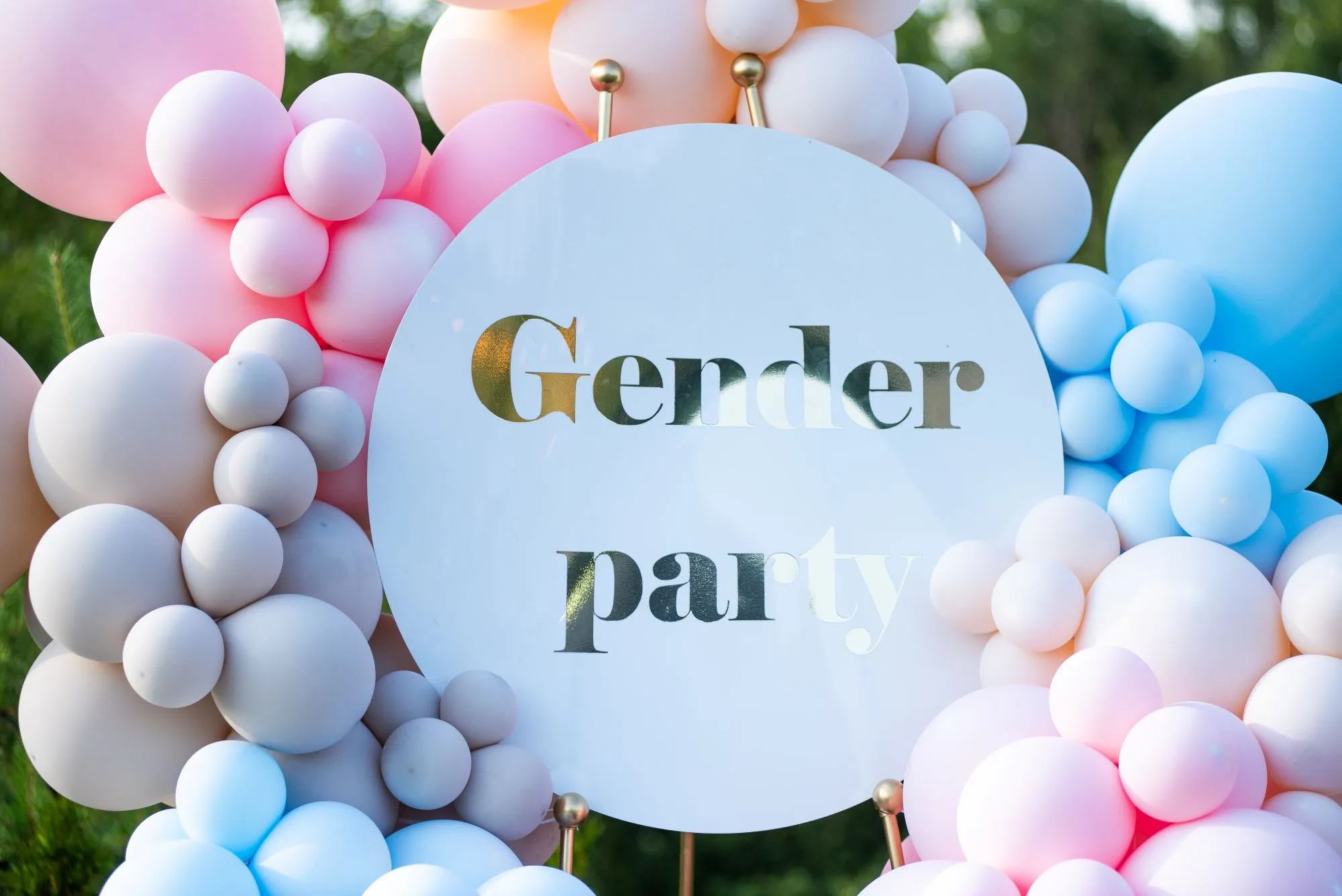 Best Gender Reveal Ideas & Fun Reveal Ideas | Gender Reveal Template