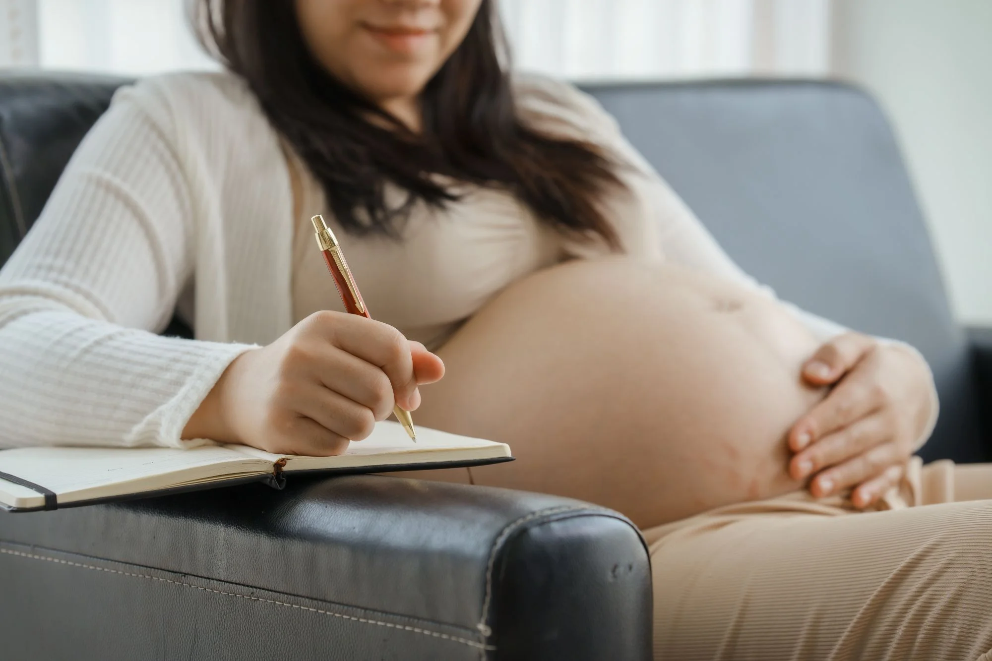 Pregnancy Keepsake | Bump Pregnancy Journal | Baby Memory Books