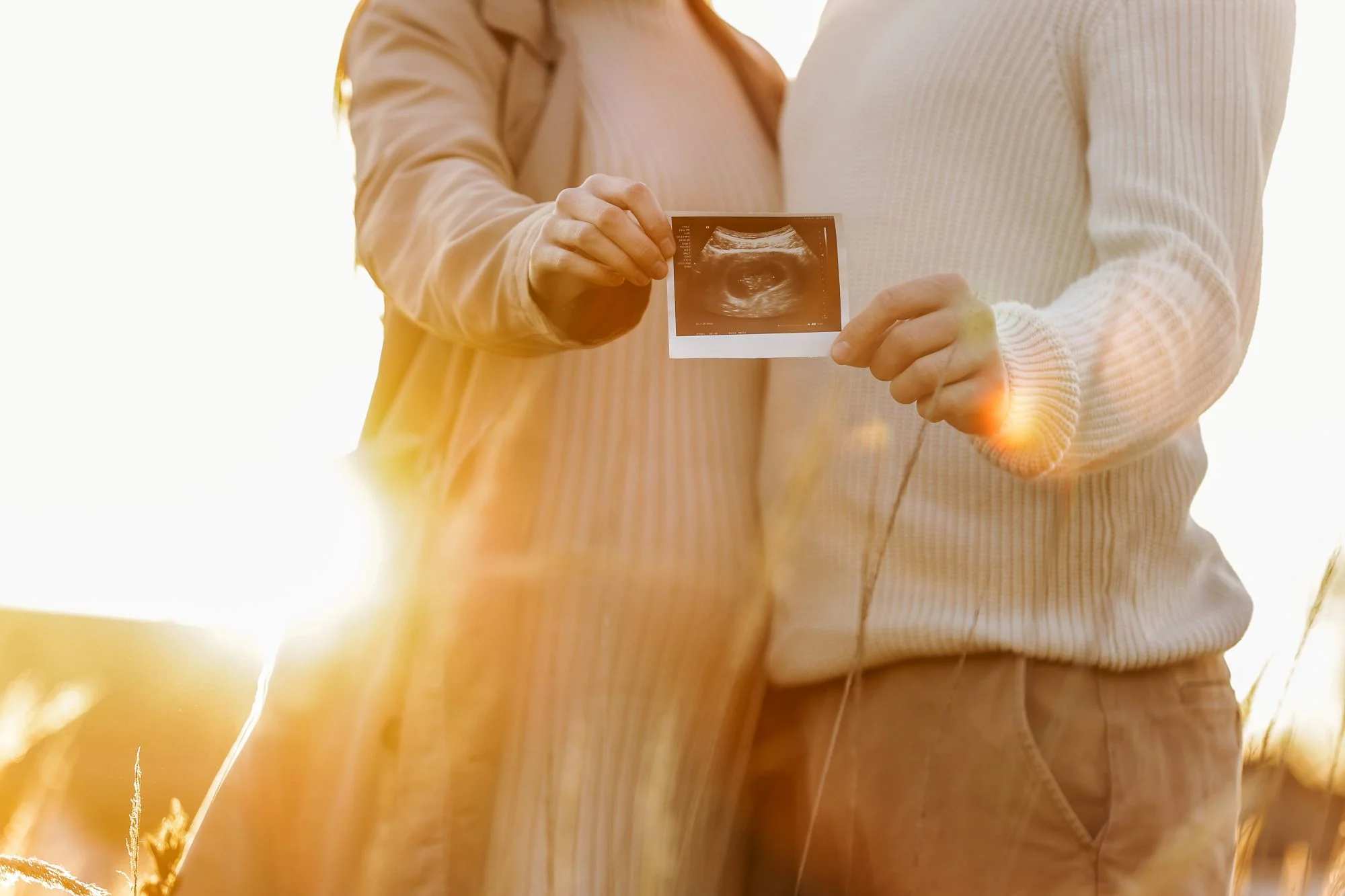 Free Digital Pregnancy Announcements | Baby Announcement